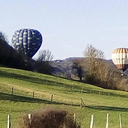 Petit De Montagne Saint-Nectaire